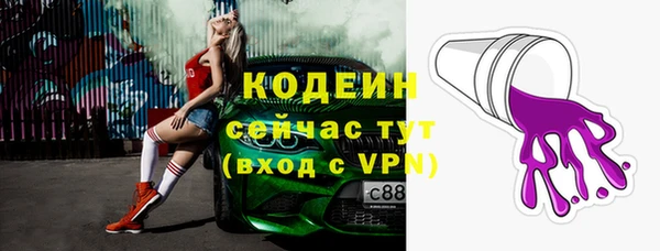 спиды Богданович