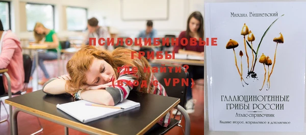 ПСИЛОЦИБИНОВЫЕ ГРИБЫ Богородск