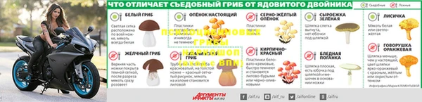 ПСИЛОЦИБИНОВЫЕ ГРИБЫ Богородск