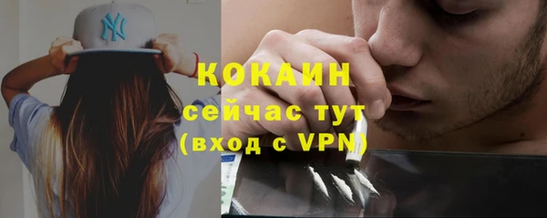 спайс Богородицк