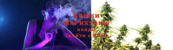 спиды Богданович