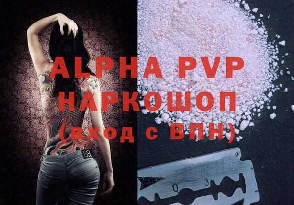 спиды Богданович