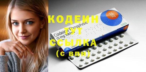 спиды Богданович
